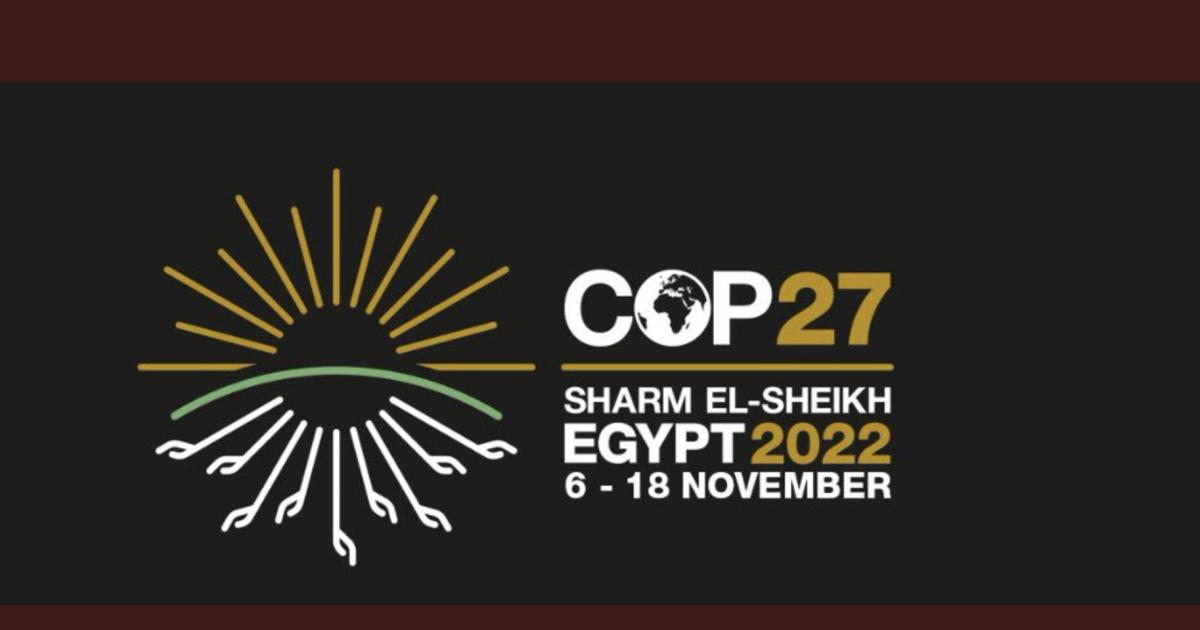COP 27