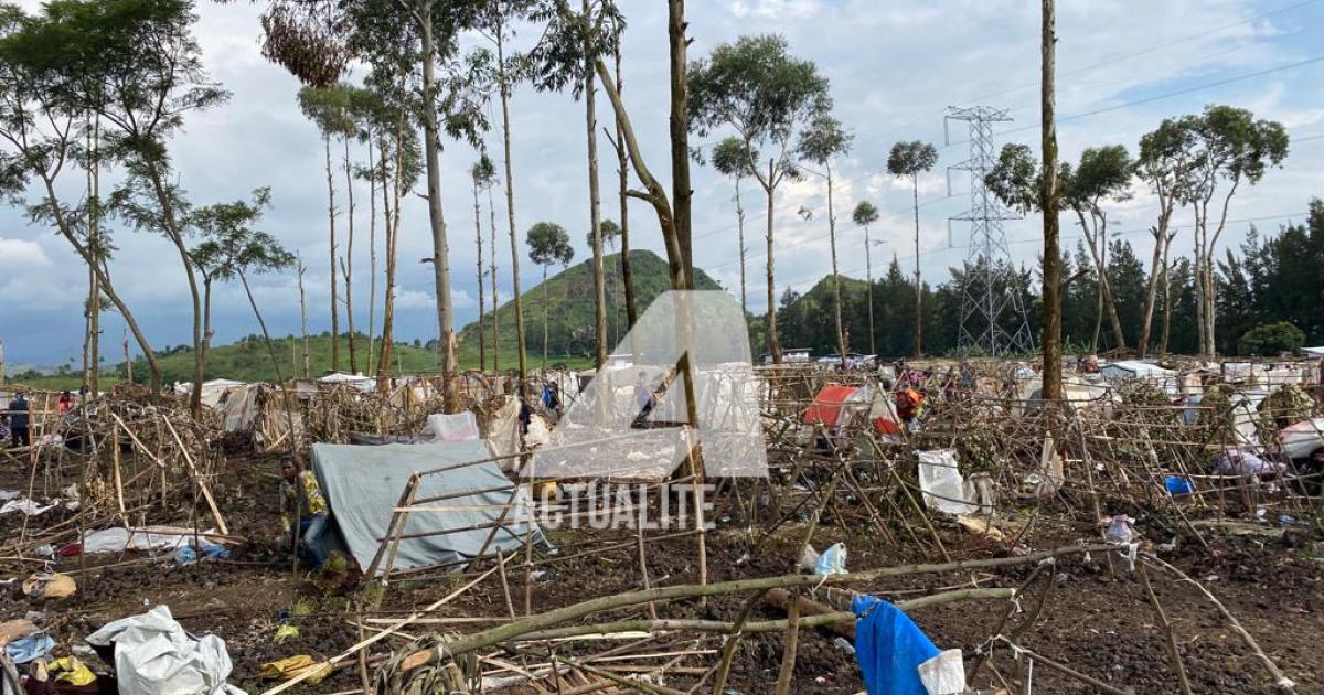 Le site des déplacés de Kanyaruchinya