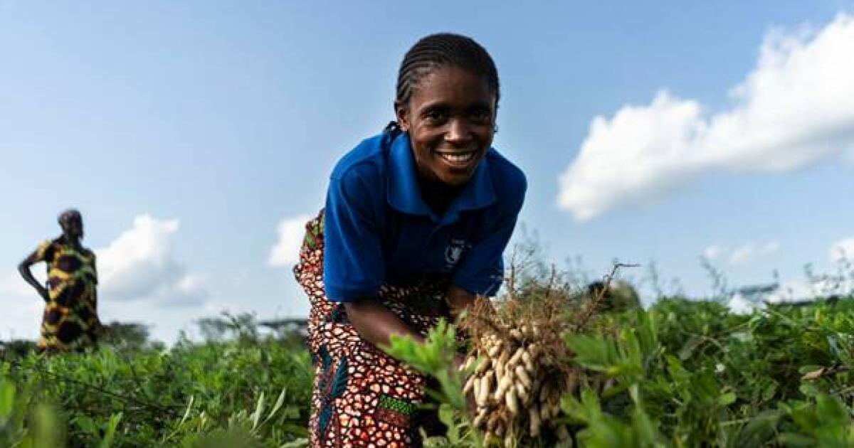 Rebecca tient des cacahuètes qu'elle a récoltées à Kabalo, en République démocratique du Congo, dans le cadre d'un projet de paix PAM-FAO. Photo : PAM/Arete/Fredrik Lerneryd