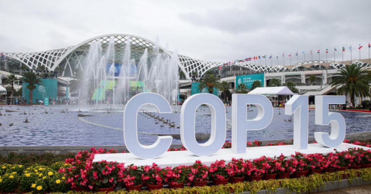 Cop 15 au Canada
