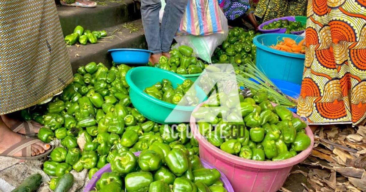 Les poivrons au marché Kahembe à Goma  