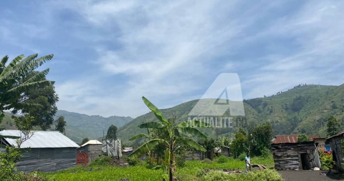 Les collines de Masisi vues à partir de Sake