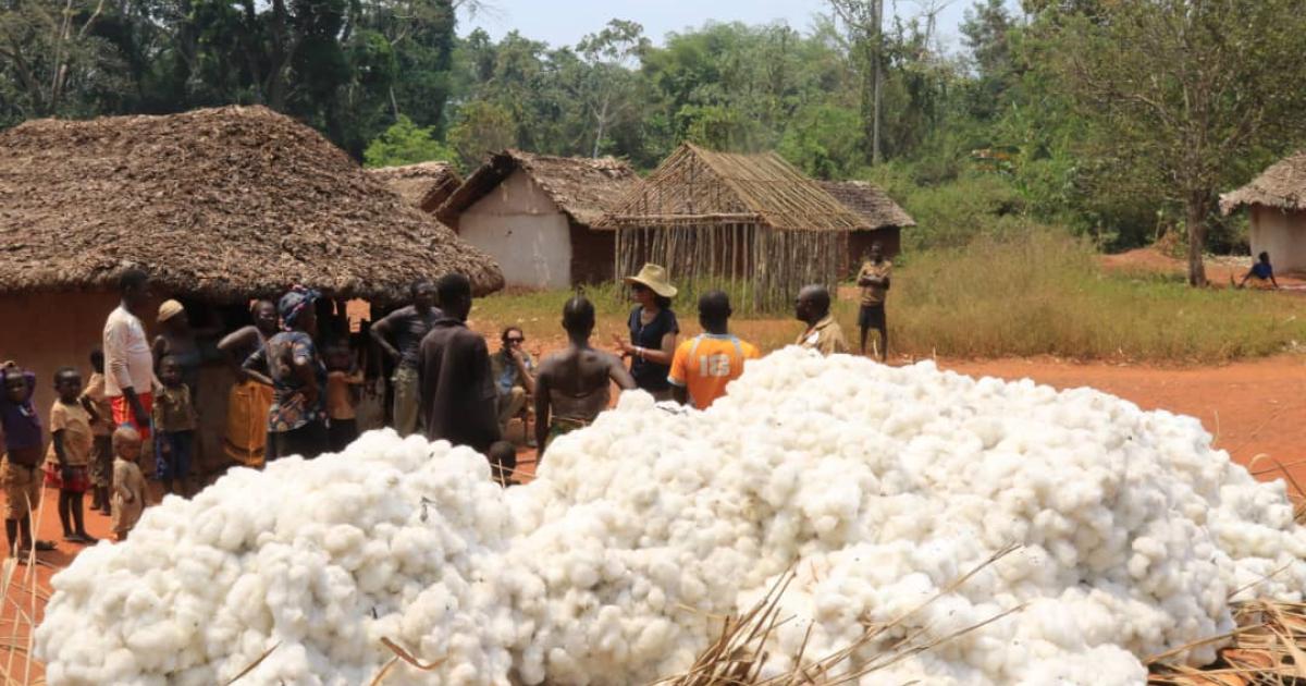 La délégation du parc agro-industriel de Dingila avec quelques autochtones (Bas-Uele)