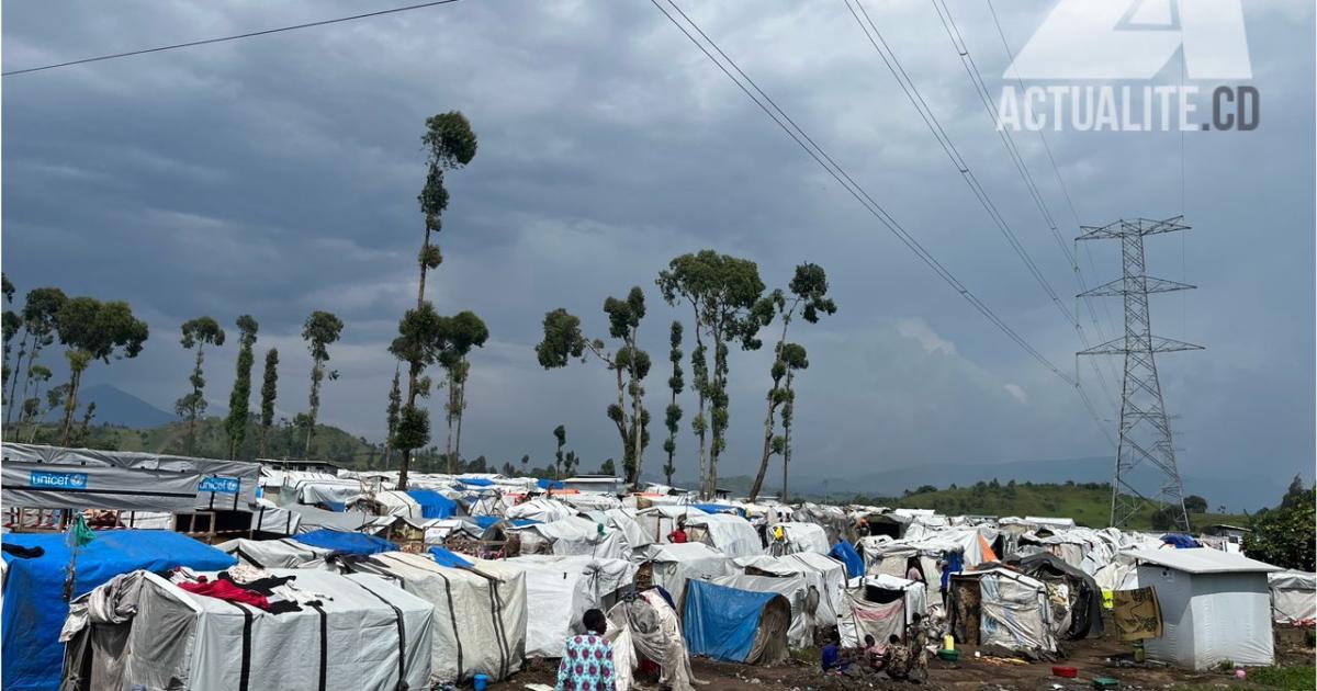 Déplacés de Kanyaruchinya, à proximité de Goma. Photo/ACTUALITE.CD