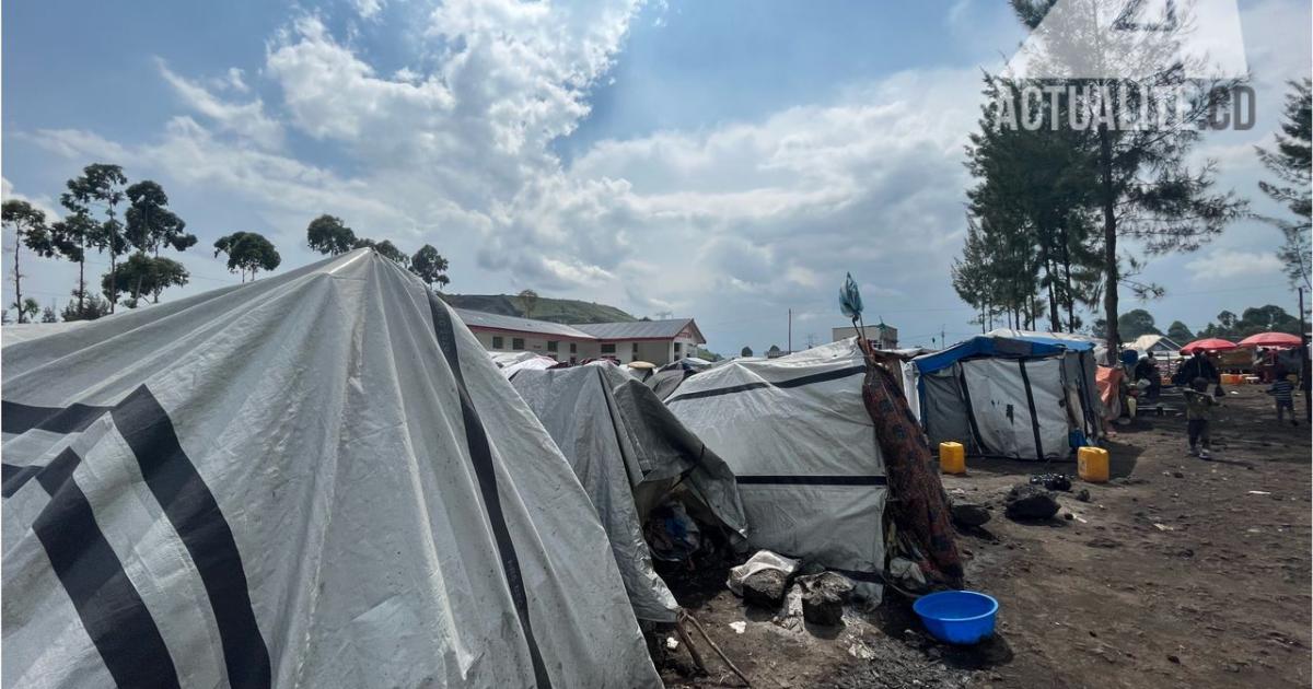 Déplacés de Kanyaruchinya, à proximité de Goma. Photo/ACTUALITE.CD