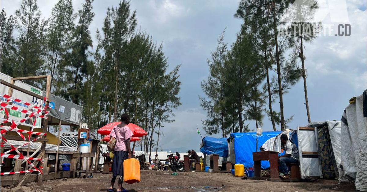 Déplacés de Kanyaruchinya, à proximité de Goma. Photo/ACTUALITE.CD