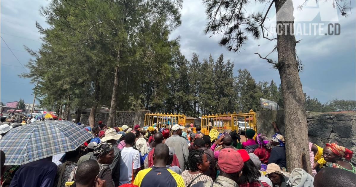 Déplacés de Kanyaruchinya, à proximité de Goma. Photo/ACTUALITE.CD