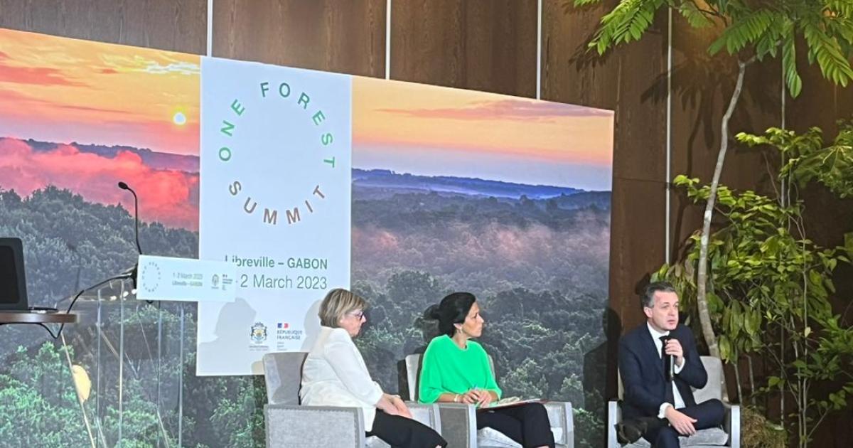Ouverture du segment ministeriel de One Forest Summit
