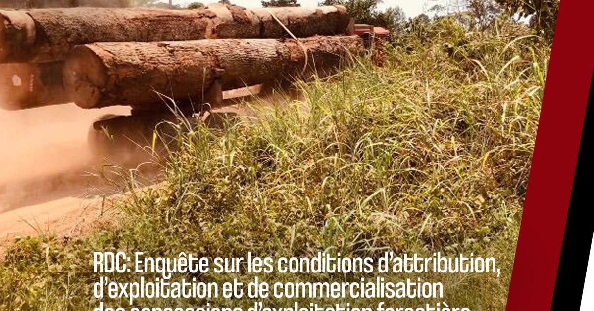 Cet article fait partie d’une série de productions dans le cadre de l’enquête menée sur les conditions d’attribution, d’exploitation et de commercialisation des concessions d’exploitation forestière