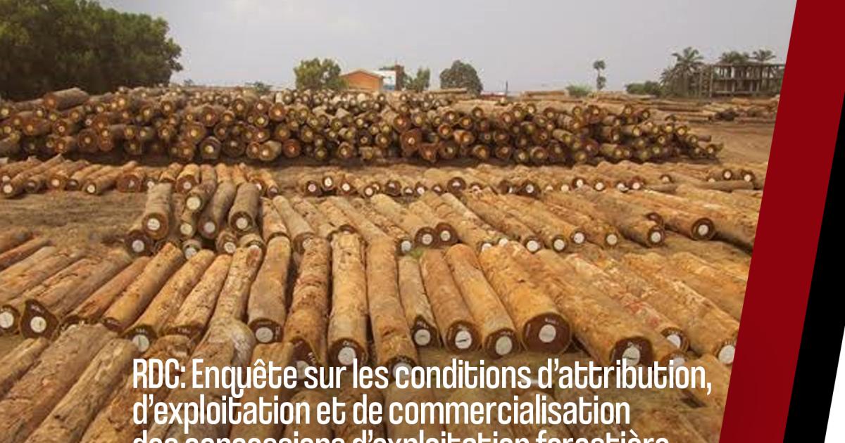 Cet article fait partie d’une série de productions dans le cadre de l’enquête menée sur les conditions d’attribution, d’exploitation et de commercialisation des concessions d’exploitation forestière