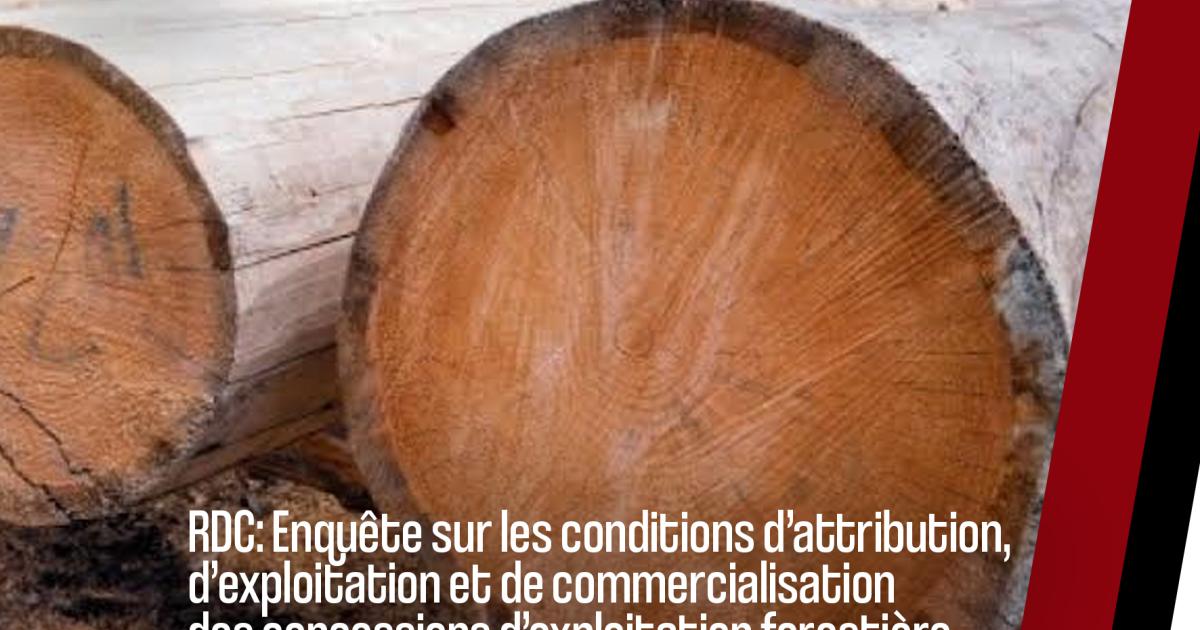 Cet article fait partie d’une série de productions dans le cadre de l’enquête menée sur les conditions d’attribution, d’exploitation et de commercialisation des concessions d’exploitation forestière