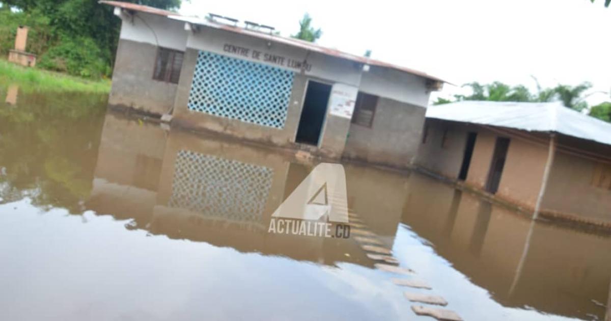 Une parcelle inondée suite au débordement des eaux de la rivière Kasaï 