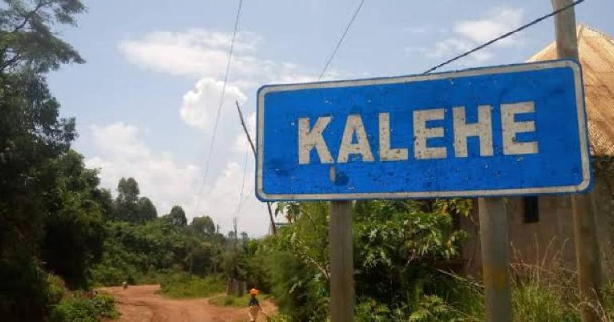 Kalehe 