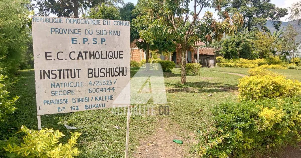 Institut Bushushu à Kalehe