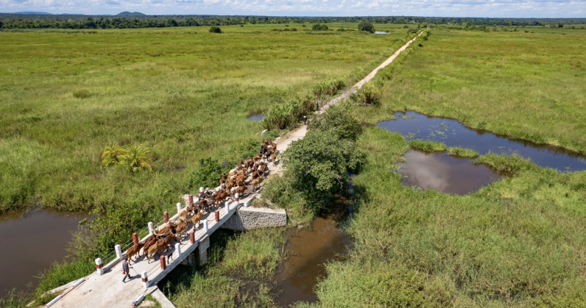 Le pont de Lwizi, récemment reconstruit dans le Tanganyika, en RDC, relie les territoires de Kabalo, Nyunzu et Kalemie. Photo : PAM/Michael Castofas