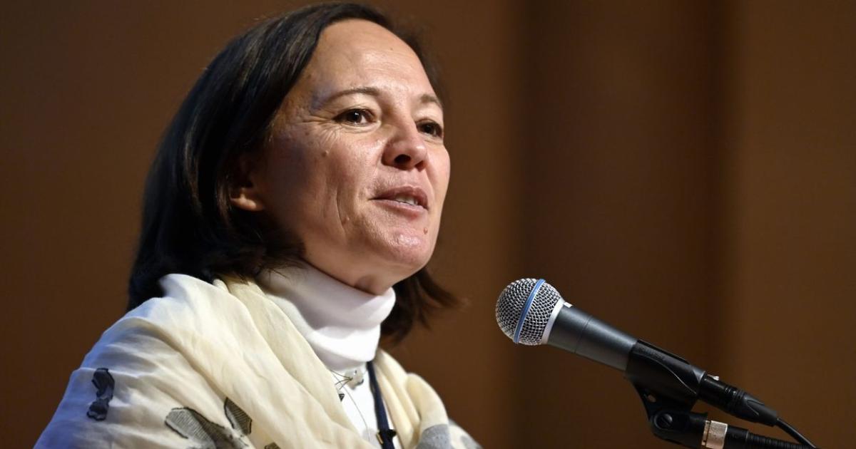 Roxane de Bildering, Ambassadrice de la Belgique en RDC