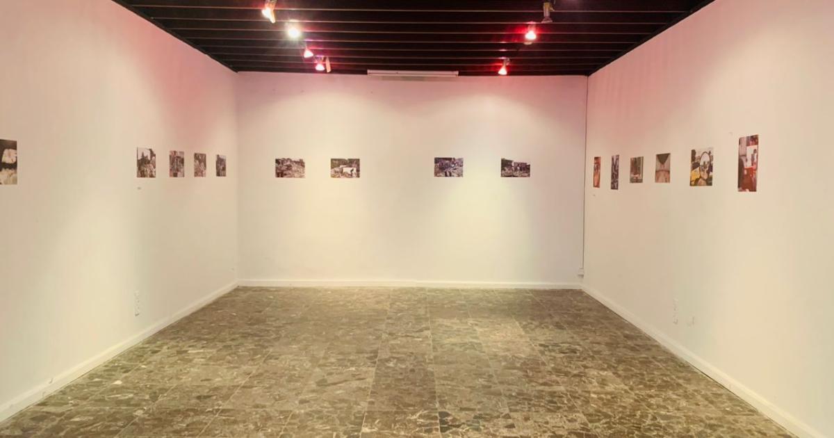 Exposition photo à l'Académie des Beaux-arts 