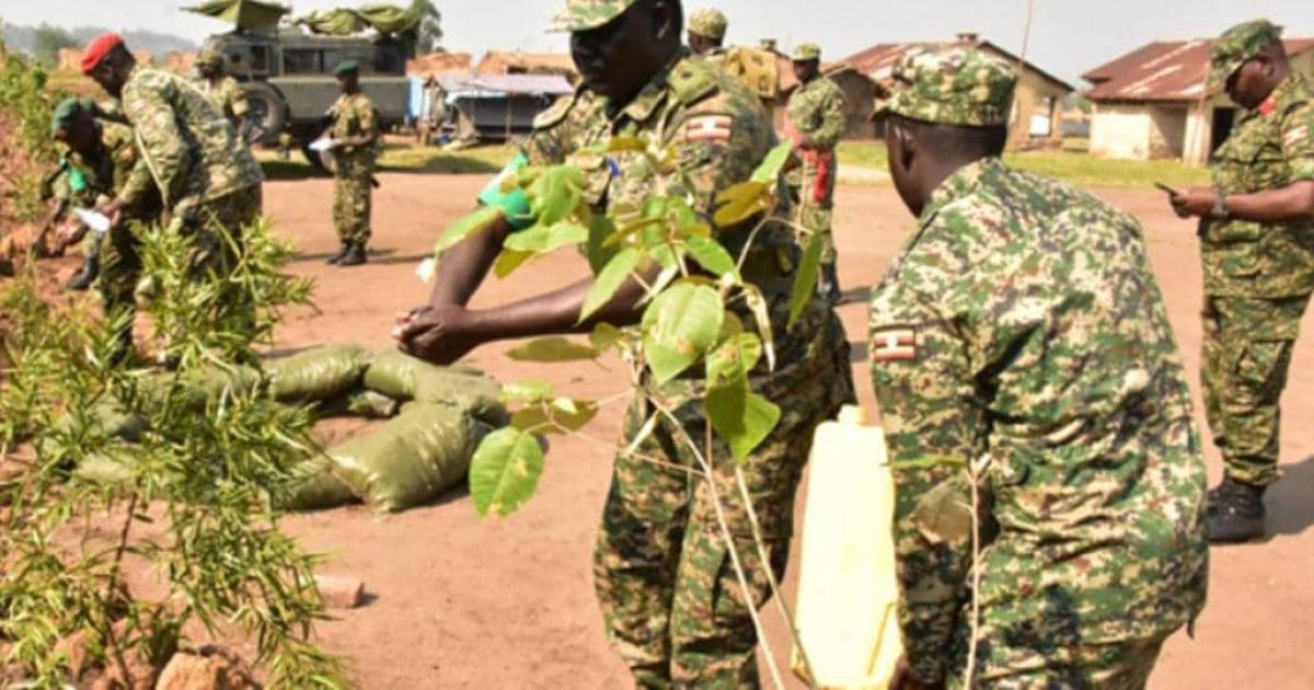 Les soldats de l'UPDF en RDC