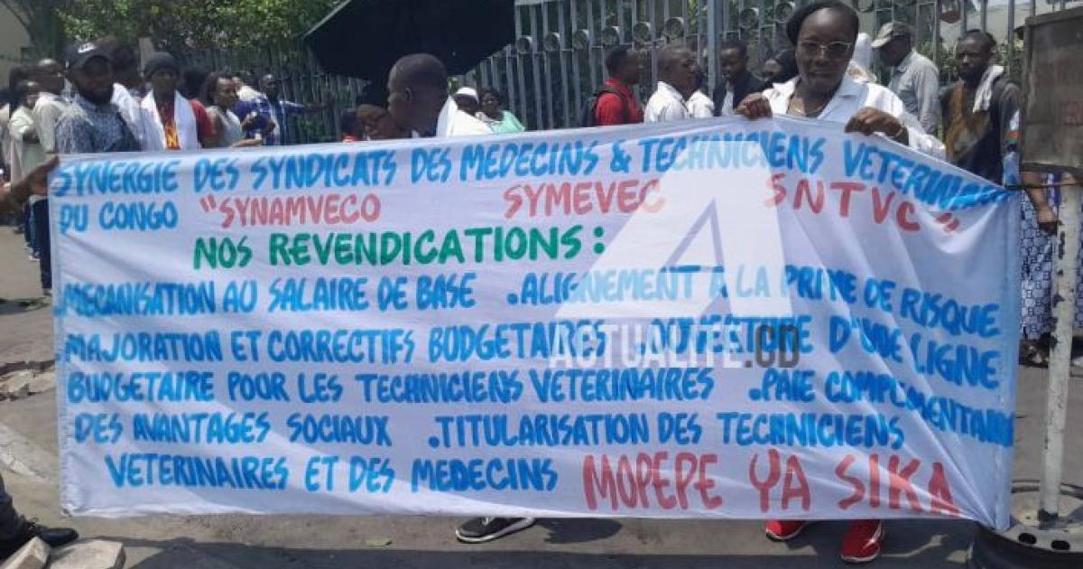 Les médecins et techniciens vétérinaires devant le ministère des finances 