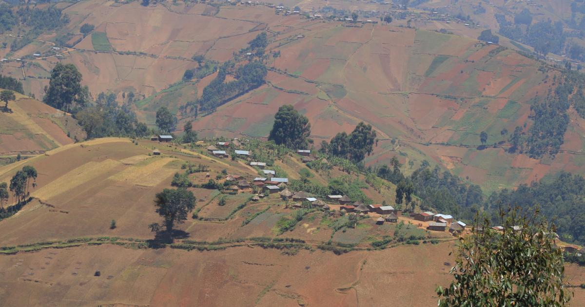 un paysage agricole dans les hautes terre de Luutu, en territoire de Beni, à une trentaine de Km de Butembo  ©Hervé Mukulu)