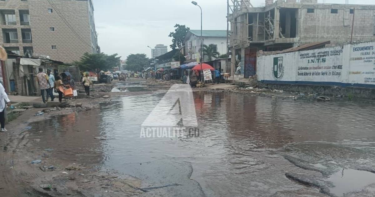 Avenue Kalembelembe