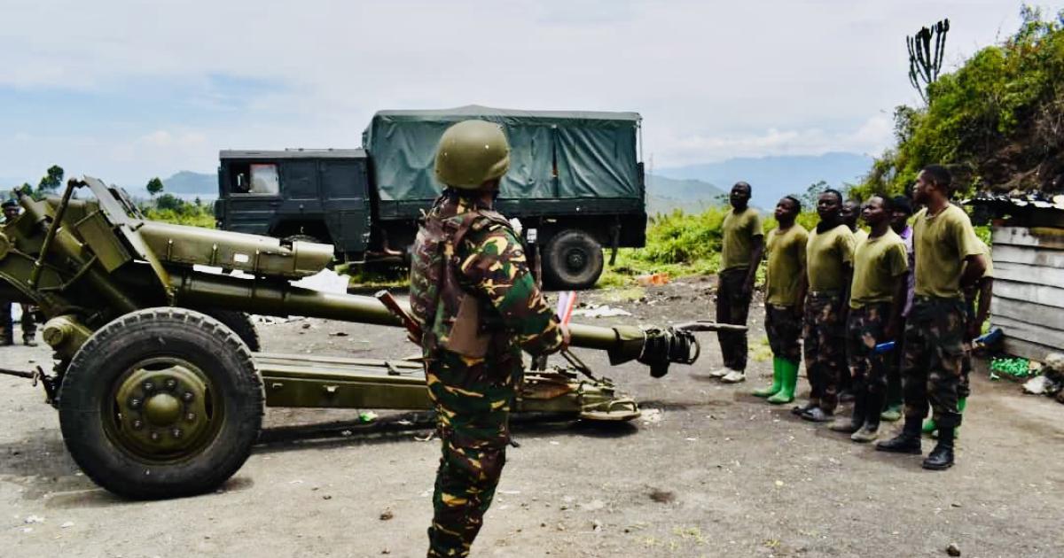 Les soldats tanzaniens de SAMIDRC 