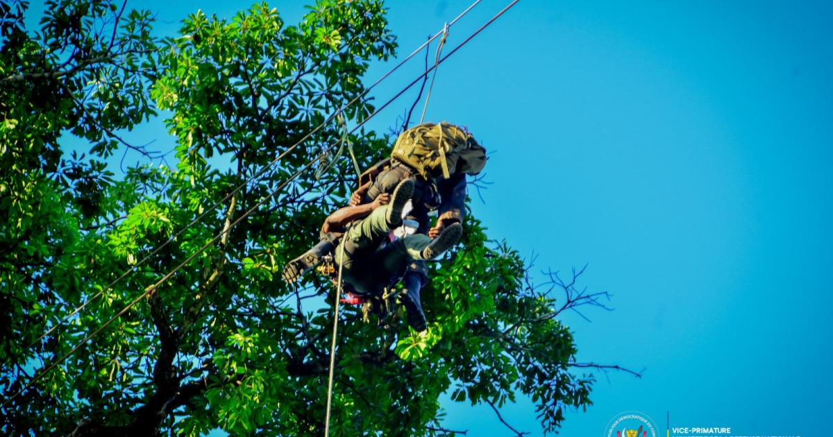 FARDC