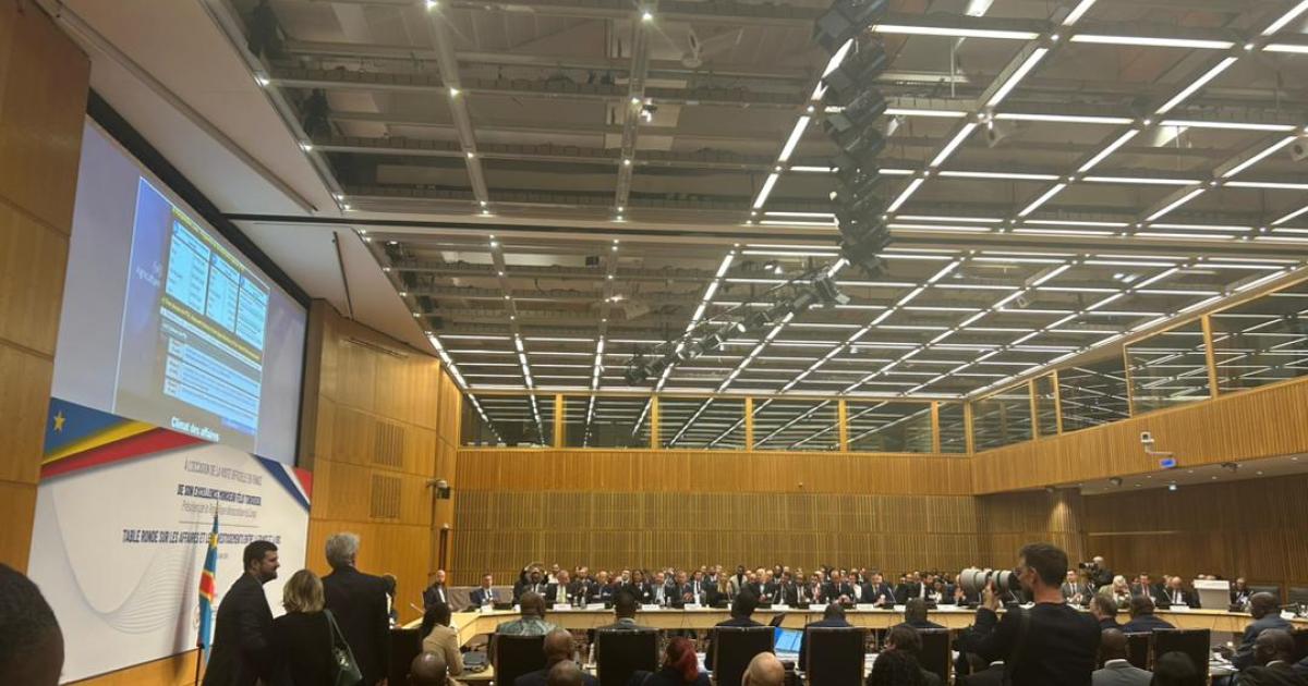 Table ronde sur les affaires et les investissements entre la France et la RDC