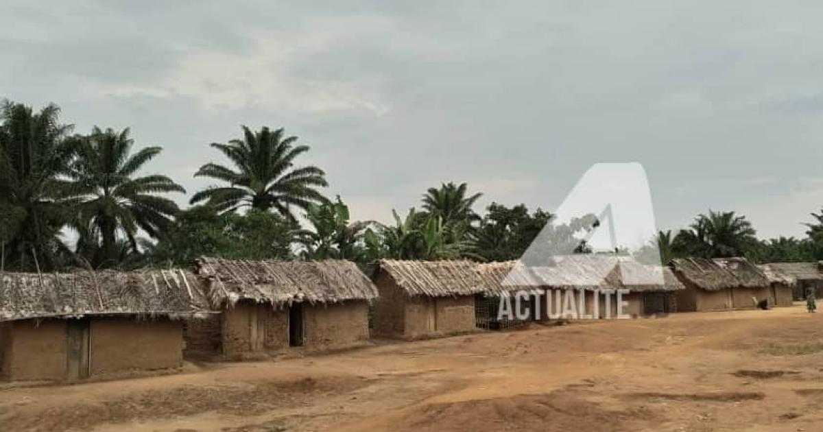 Lubutu, village voisin de Ombole, dans le secteur de Bapere