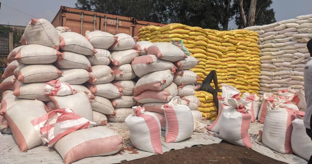 Assistance aux déplacés de guerre au Nord-Kivu 