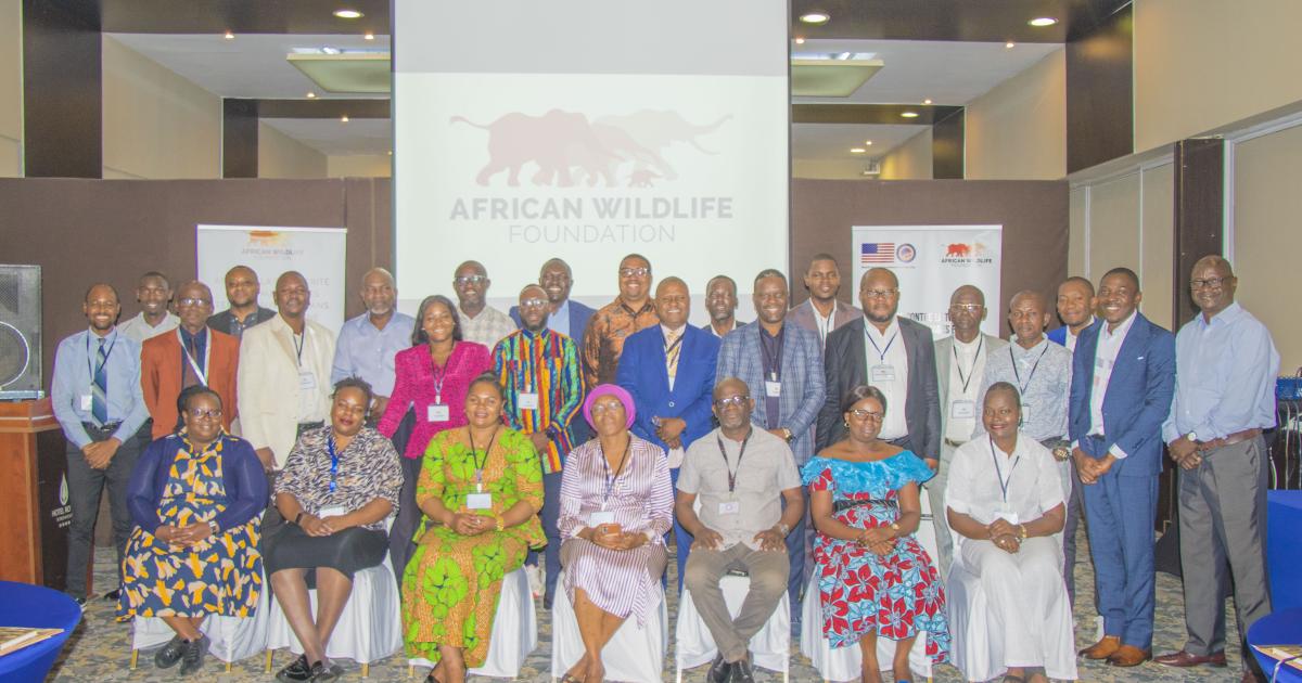 Les parties prenantes au projet AWF sur la lutte contre le trafic illégal des espèces sauvages en RDC lors de l'atelier de clôture, le 24 septembre 2024