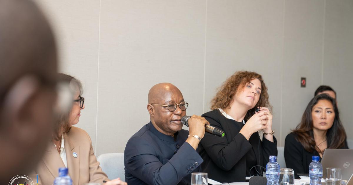Le vice-ministre des mines lors de la table ronde du Cobalt Institut. 