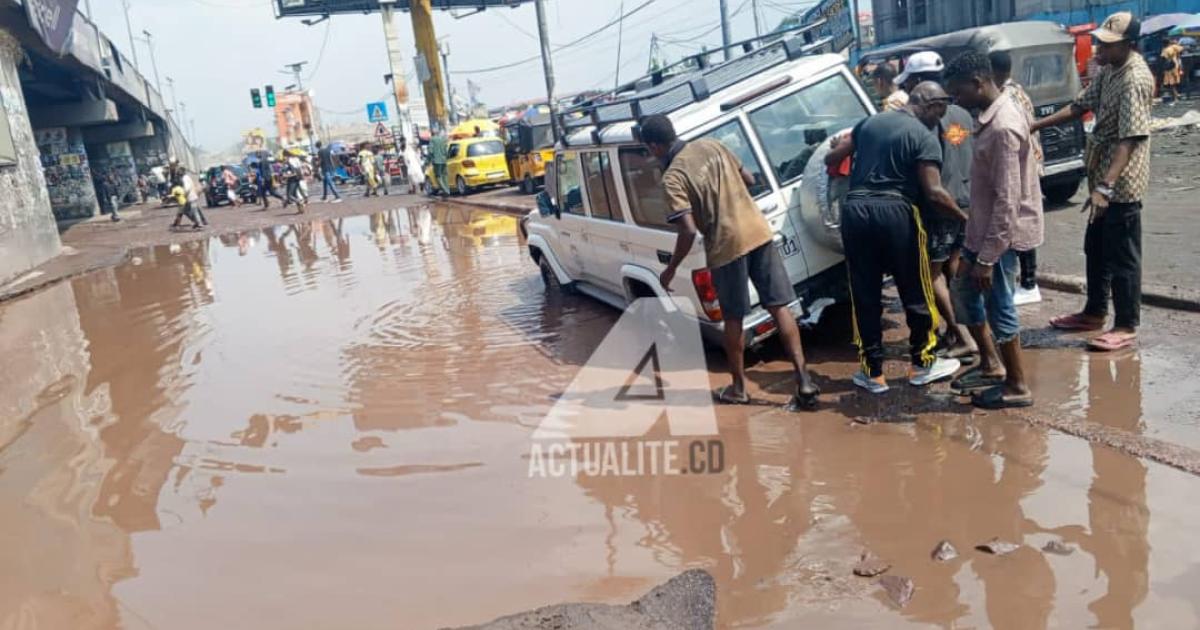 Boulevard Lumumba/Saut-de-mouton De bonhomme
