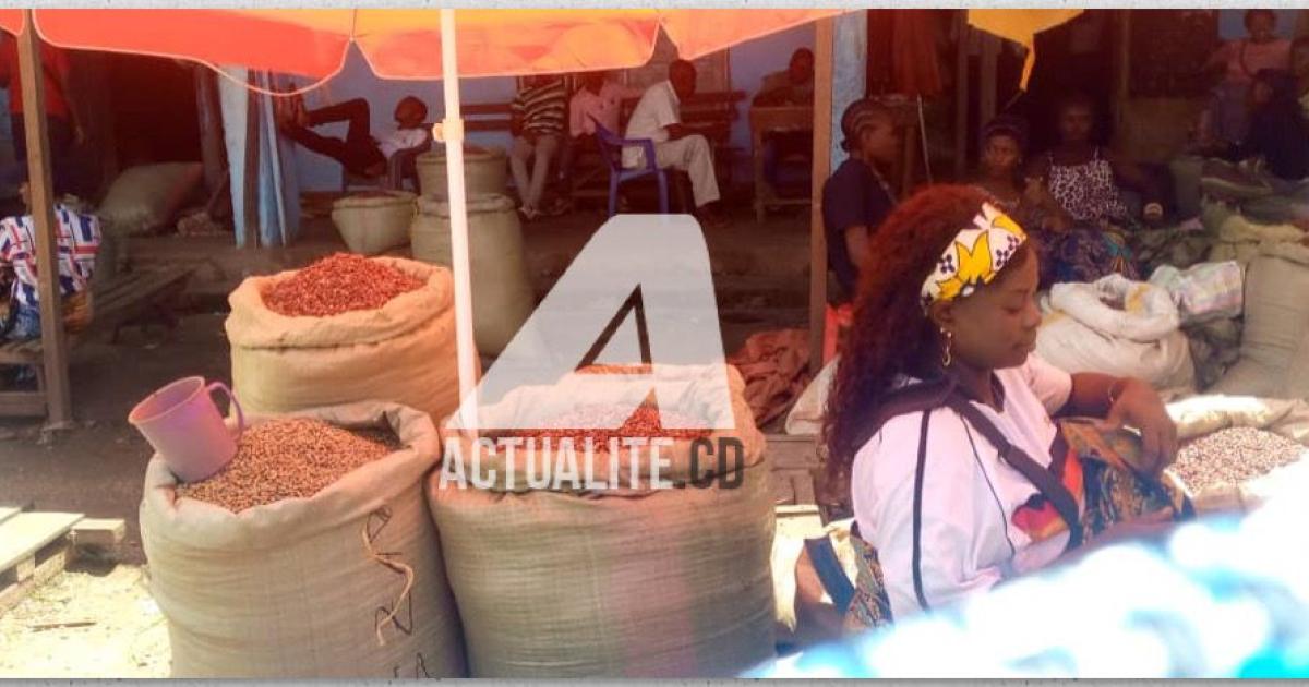 Un rare stock de haricot sur le marché de Kisangani