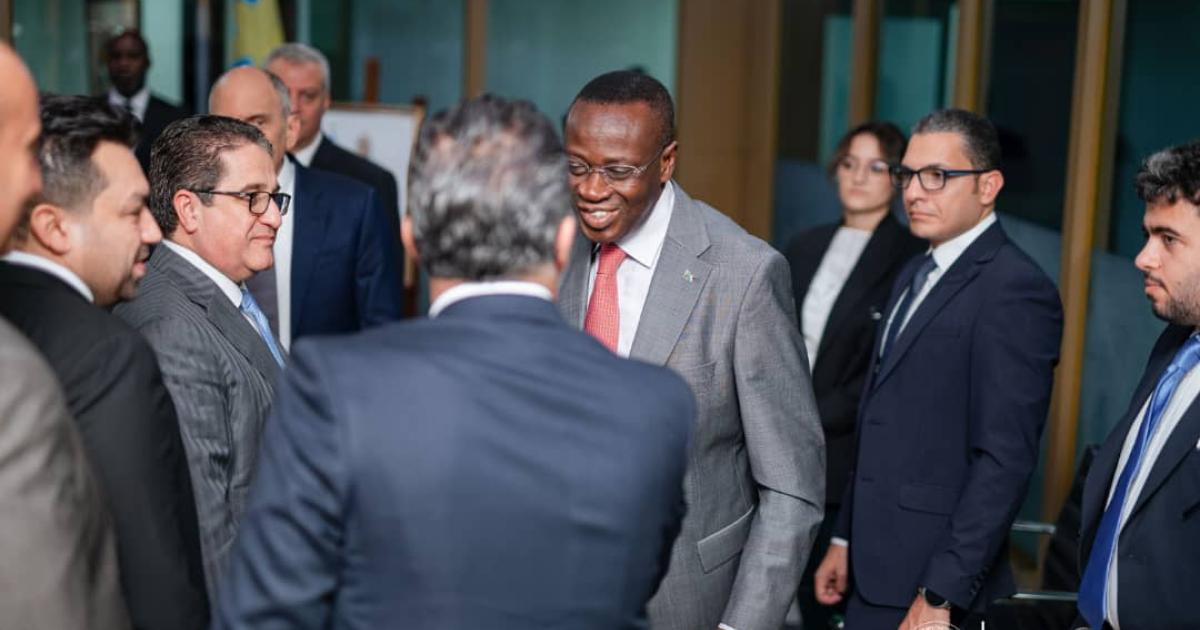 Rencontre entre le ministre Mukoko Samba et une délégation d'entrepreneurs égyptiens