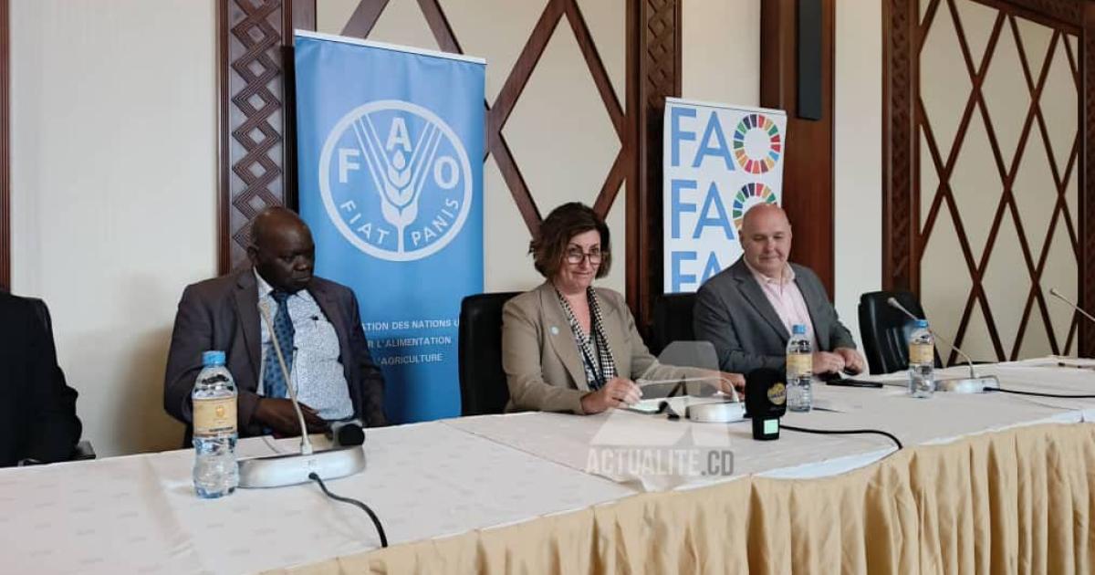  Conférence de presse marquant la fin de séjour de la directrice générale adjointe de la FAO, Élisabeth Ann Bechdol