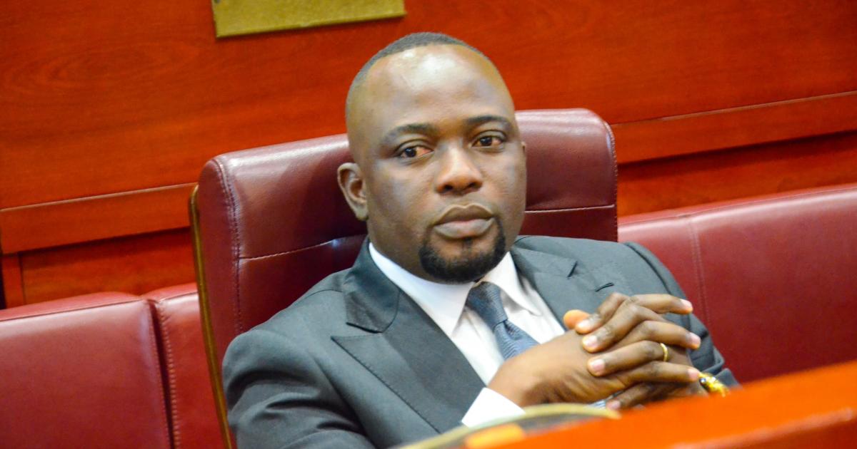 Jean Tshisekedi Kabasele, sénateur 