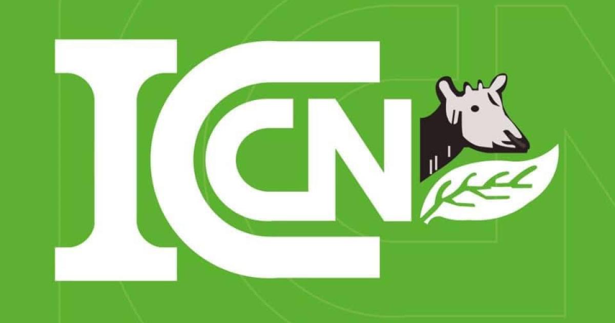 ICCN