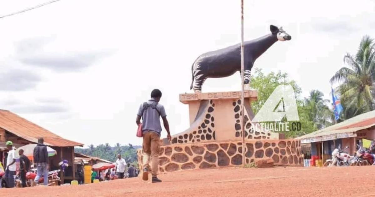 Un rond-point à Lubutu