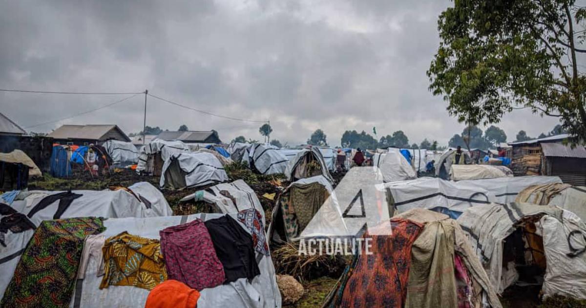 Le site des déplacés de Lushagala
