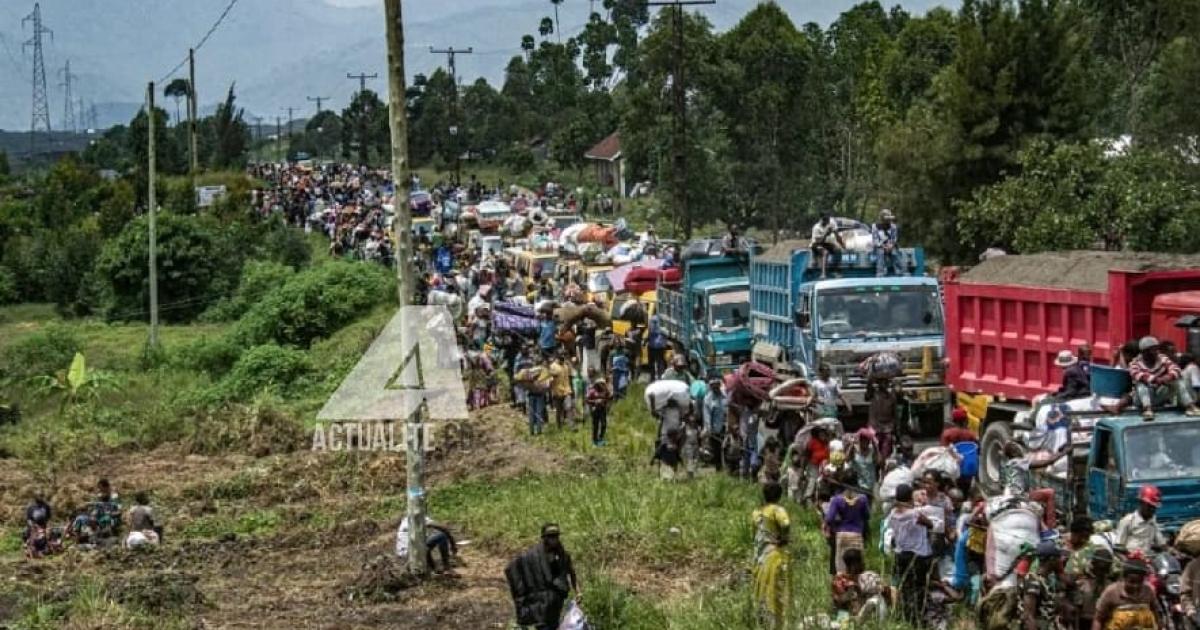 Les déplacés sur la route de Sake se rendant à Goma
