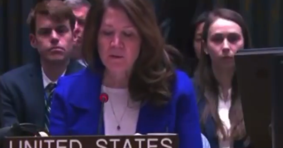 Dorothy Camille Shea, représentante adjointe des États-Unis à l'ONU