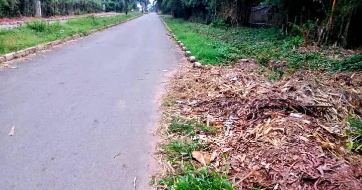 Une route asphaltée à Mbuji-Mayi 