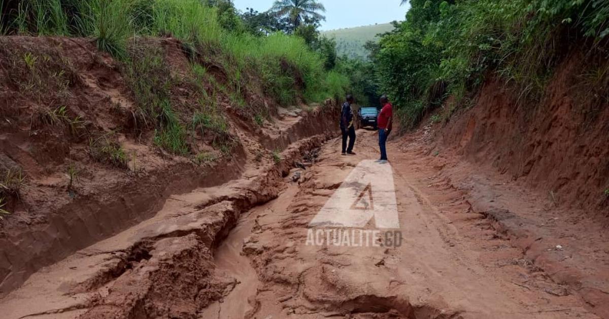 La Route nationale n°19 reliant Kikwit à Bulungu