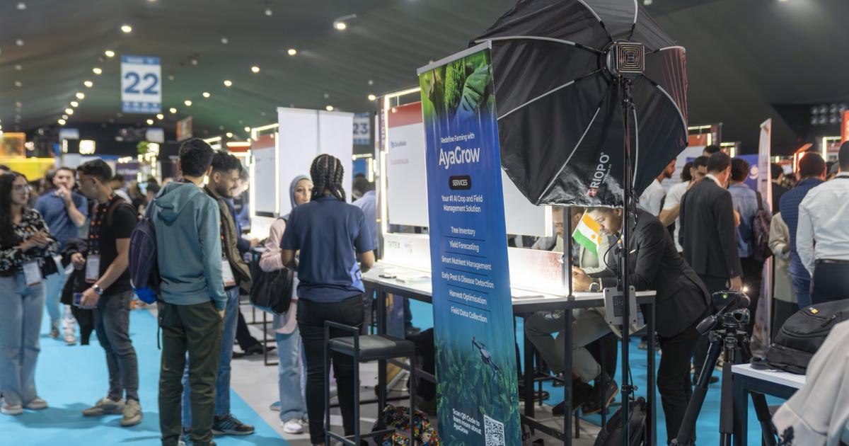 Village startups au Gitex Africa 2025 