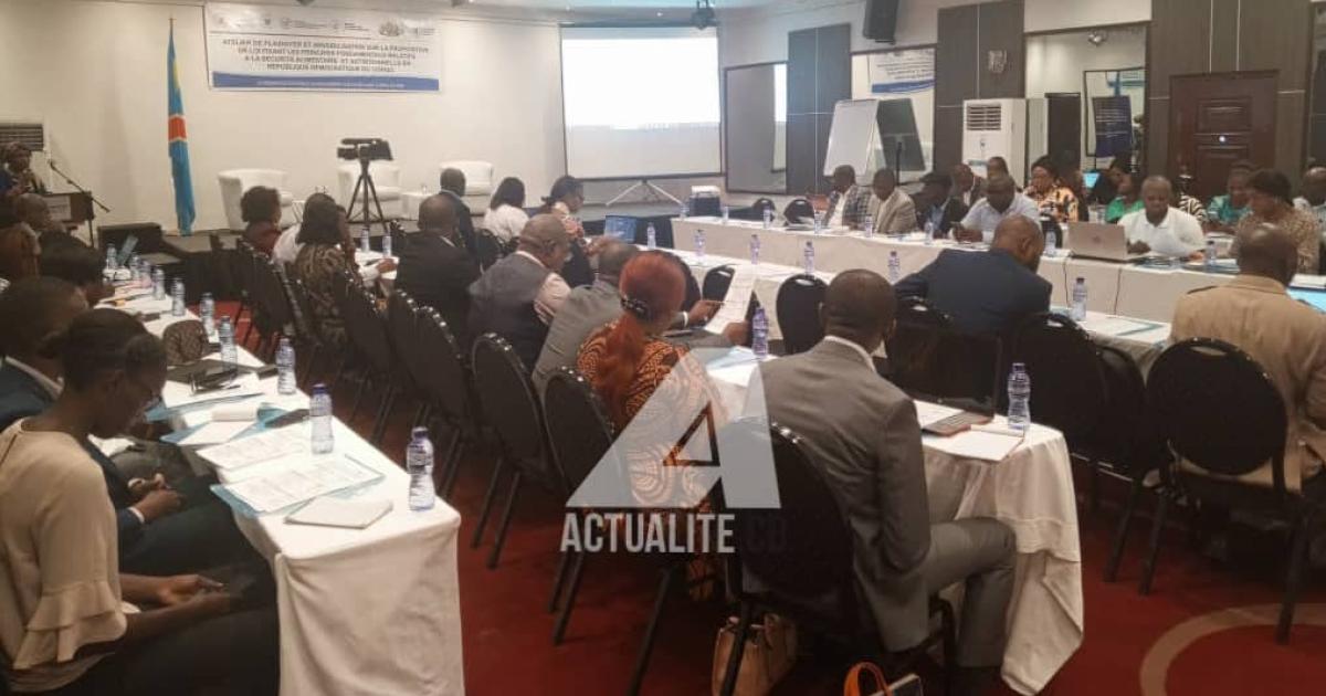 Atelier de plaidoyer et de sensibilisation sur la proposition de loi fixant les principes fondamentaux relatifs à la sécurité alimentaire en RDC