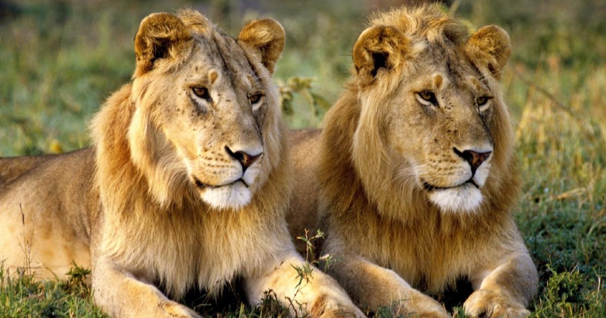 Photo d'illustration