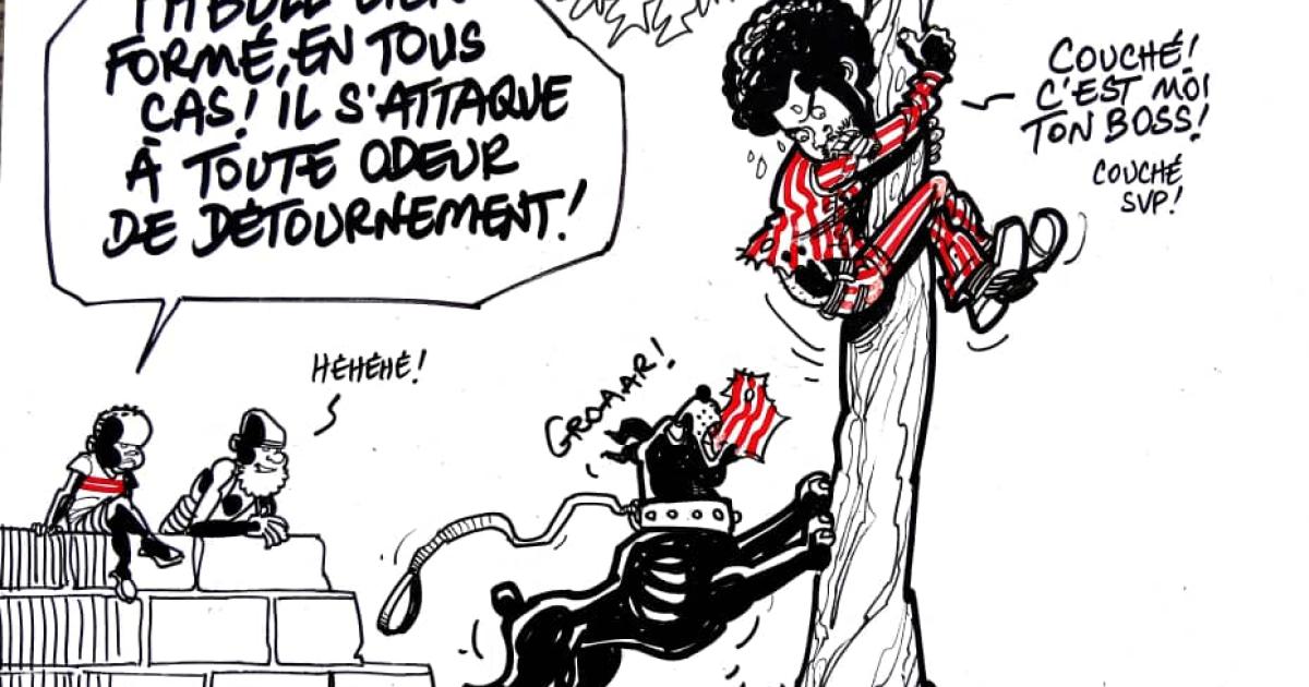 Caricature Kash/ACTUALITE.CD