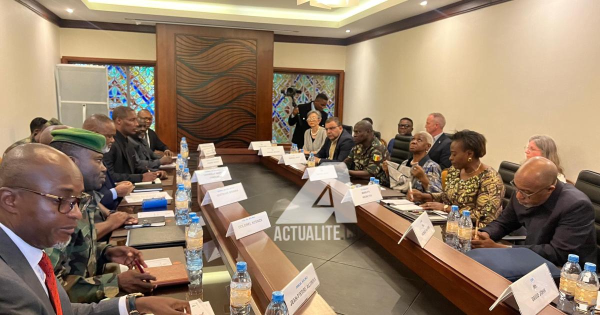 Réunion AFC/M23 et la Monusco