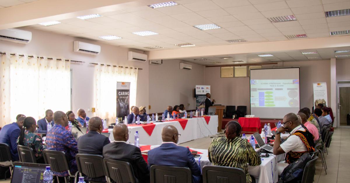 Atelier de lancement du projet "lutte contre le trafic illégal de la faune sauvage, du bois et des autres ressources naturelles en RDC" 
